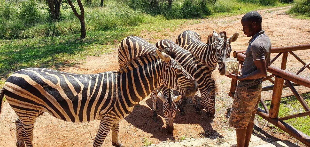 マールロス・パーク Giraffe Plainsヴィラ エクステリア 写真