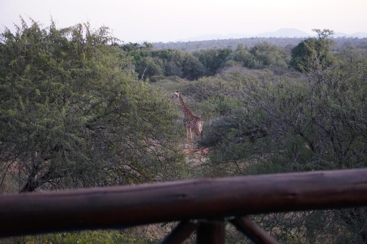 マールロス・パーク Giraffe Plainsヴィラ エクステリア 写真
