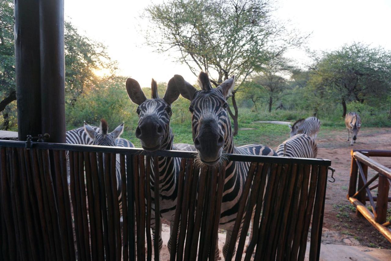 マールロス・パーク Giraffe Plainsヴィラ エクステリア 写真